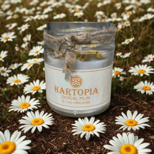 Hartopia Yasemin Kokulu Doğal Soya Wax Mum