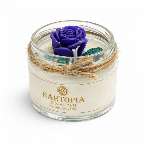 Hartopia Royal Rose Mum