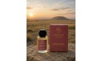 HARTOPIA ARZOWA Eau de Parfum 50 ml HARTOPIA ARZOWA Eau de Parfum 50 ml vanilyalı ve odunsu parfüm