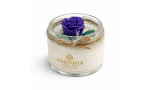 Hartopia Royal Rose Mum Hartopia Royal Rose Mum